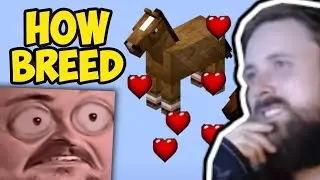 Forsen Reacts To MINECRAFT 1.17.1 How to Breed Horses (2021)