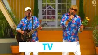 Amigos - Pharao | Immer wieder sonntags 2023
