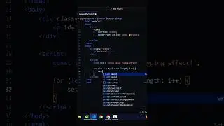 Typing effect using HTML CSS and JavaScript 