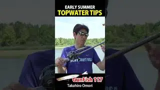 Early Summer Topwater Tips 【Early Summer 05, 06, 07】