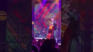 Live concert in #whitenight Ballarat 🇦🇺 #trending #viral #ytshorts #shortvideo #fun #fyp #shorts