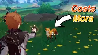 When you Realize you have to Pay to Catch Animals
