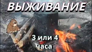 ВЫЖИВАНИЕ 3 или 4 часа! В лесу с собакой и даже без электричества!