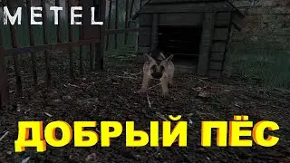Добрый пёс І Metel - Horror Escape #3
