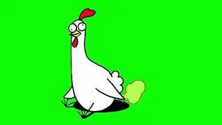Chicken green screen video | Funny Chickens