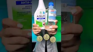 МОНЕТЫ В РАСТВОРИТЕЛЬ НА 24 ЧАСА