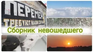 Лето в шортах 🩳 Огород на балконе 🌶 Над облаками 🛬 Вечерняя прогулка 🌅