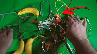 Can You Really Make Music with FRUIT and SILVERWARE? 🍌🍴 Playtron - Prepare to be Amazed!