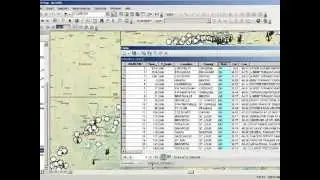 Summarizing Attribute Tables in ArcGIS