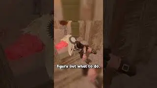 HOW TO PLAY LESS AFRAID IN DBD! (3/3)