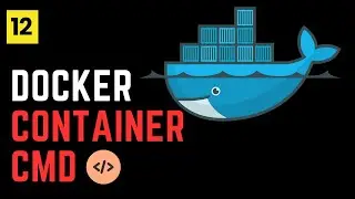 Docker Container Command Prompt: Accessing and Interacting with Containers | Docker 12