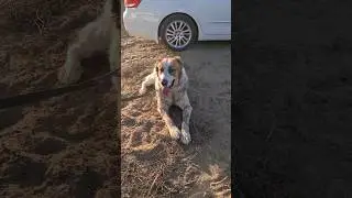 Аждар и хозяин знаменитого Кёр Гаплана!