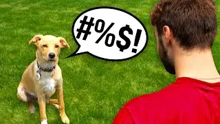 Cussing Dog Prank