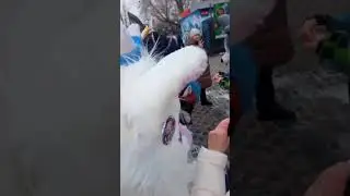 ПОМОГИТЕ 