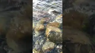 Черное море❤️ Россия🇷🇺