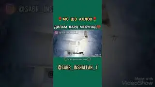 Шайх? Қисаи хазрати ИБРОХИМ. {Х} дилам дард мекунад. 31 июля 2020 г.