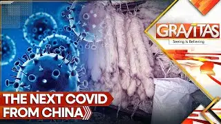 Next Covid From China: Killer Virus Found in Chinese Fur Farms | Gravitas LIVE | WION World News