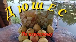 🍹ДЮШЕС🍹Настойка из Груши.