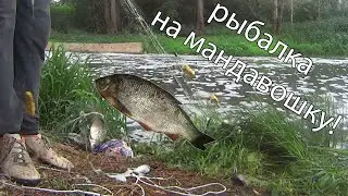 рыбалка на мандавошку! не кастинговая сеть!  cast net fishing!