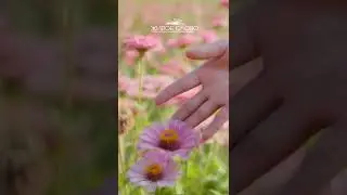 Душевный и очень добрый стих "Даже если устали от боли" Ольга Груздева -Белкина Читает Леонид Юдин