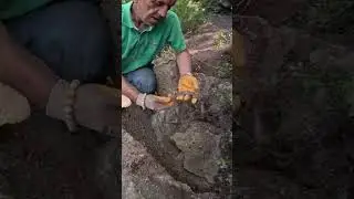 Mezarın İçinden Çıkan Define Muhteşem Eser !!