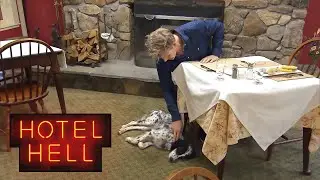Gordon Feeds Dog Hotel Food and Fears She Might Be Dead! | Hotel Hell
