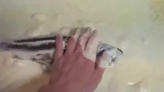 How To Make an Ice Cream Sandwich