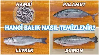 How to Cut, How to Clean Different Types Of Fish: Learn From The Master