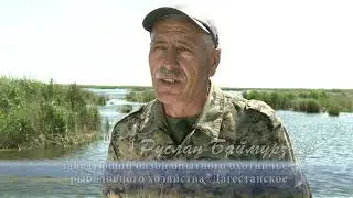 Печаль и тревоги Аграхана 2017