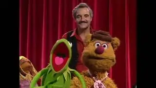 Muppet Show: Hal Linden Close (517)