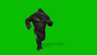 #free