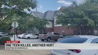 Teen dead, another hurt in Greenville apartment shooting
