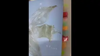 채식주의자