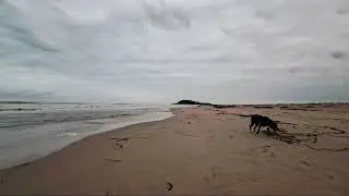 Petrus and Pardette 13 May 2023 (Live) Back on the Beach