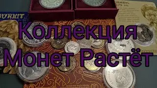 Пополнение Коллекции Монет (Март 2024 год)