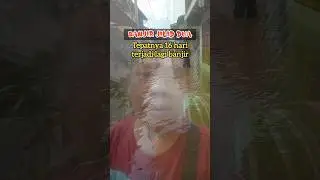 Banjir Jilid 2 !! OKU Kembali BERDUKA