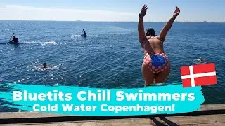 Cold water swimmers, Copenhagen! Hygge with the Bluetits Chill Swimmers