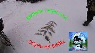окунь на раттлин(виб) зимой. Закрыли сезон 2021