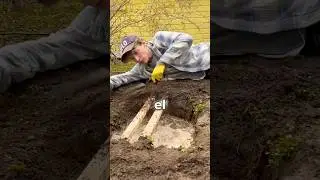 Construí un MANSIÓN para una LOMBRIZ