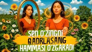 Seminardan so’ng yangi avtomobil sovg’aga keldi