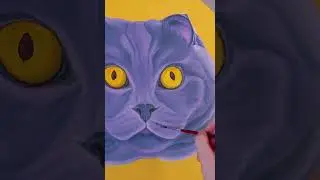 Как КОТ оказался Кошкой 