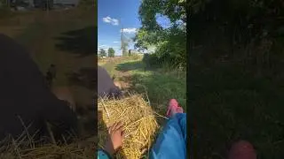 Лето - это маленькая жизнь😊