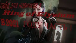 Гайд для новичков в RING OF ELYSIUM в 2021 году часть 1