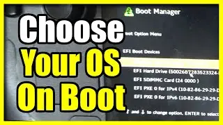 How to Put into Windows or Steam OS using Boot Manger on Steam Deck Bios (Fast Tutorial)