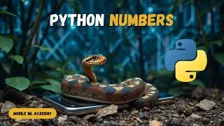 Master Python Numbers: The Building Blocks of Coding 🚀