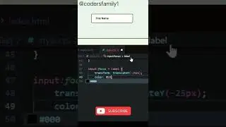 Input Placeholder style 