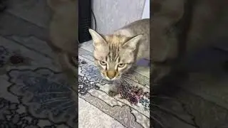 🤜😱😱😱