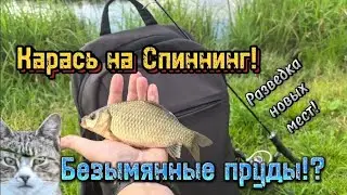 Карась на Спиннинг! | Безымянные пруды!? | Разведка новых мест!