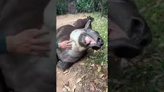 Папин бродяга,мамин симпатяга...⁠⁠