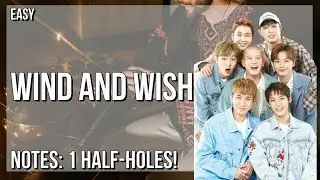 How to play Wind and Wish by Btob on Tin Whistle (Tutorial)